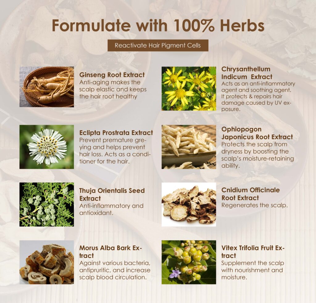 Back to Natural Hair Tonic Essential Set ingredient
