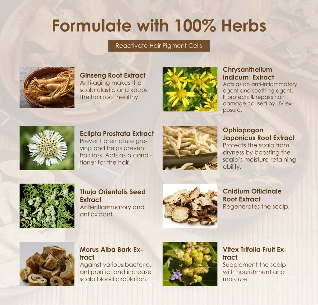Back to Natural Hair Tonic Essential Set ingredient