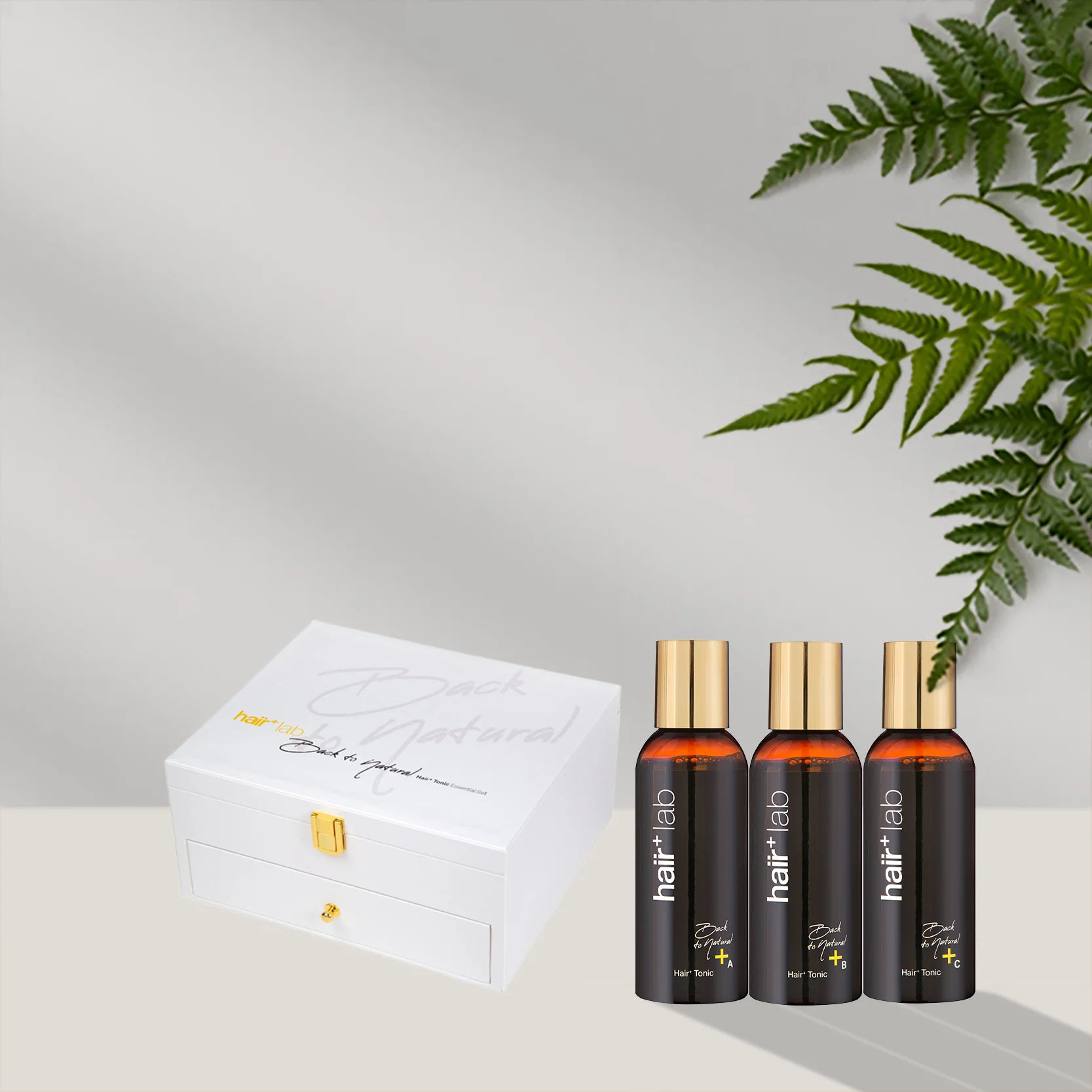 Back to Natural Hair Tonic Essential Set