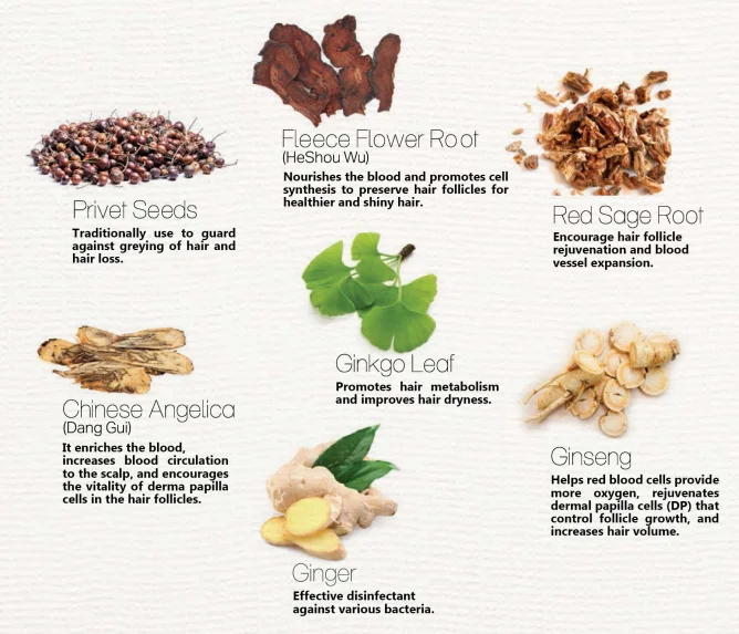 herbal hair care