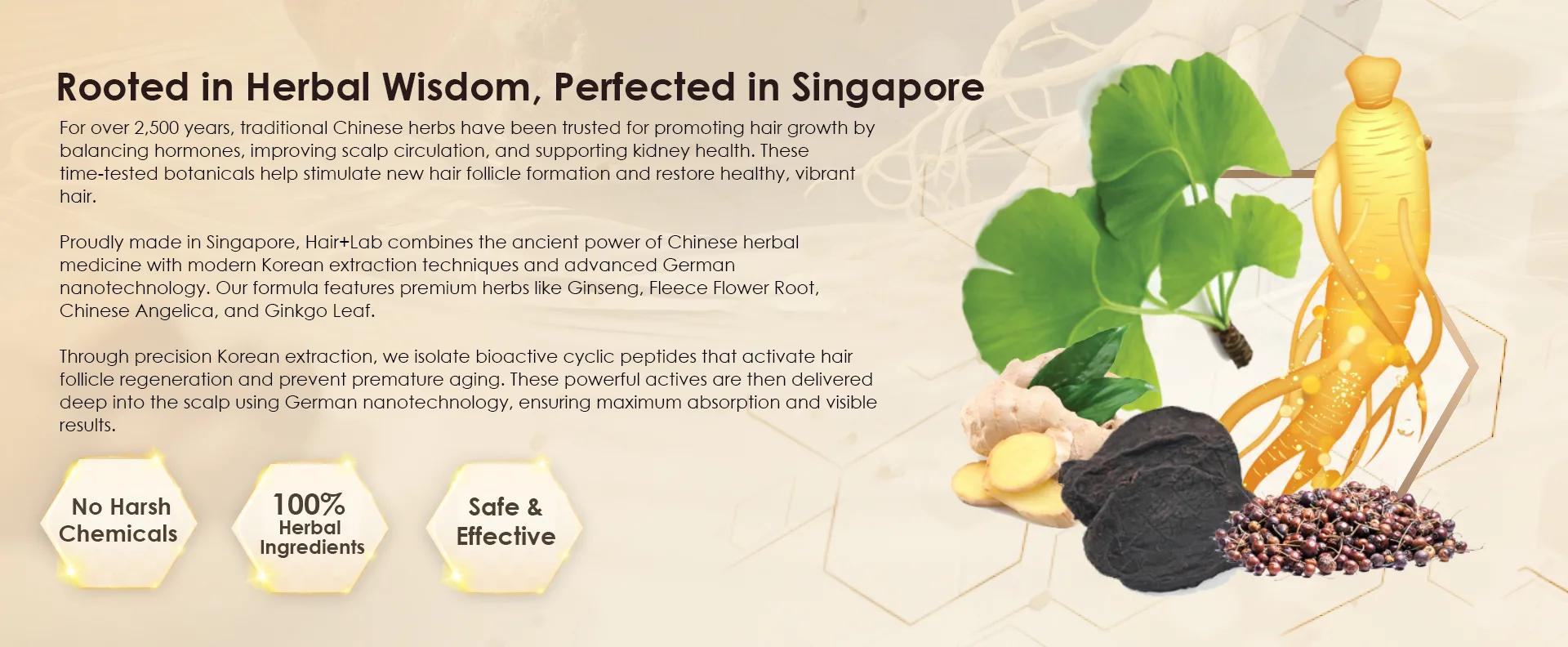 Chinese herbal medicine for hair